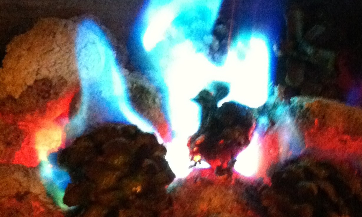 Aurora Flame Colour Changing Pine Cones