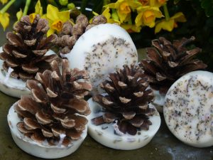 Spring Meadow Kindlecones