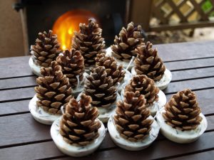 Winter Warmer Kindlceones